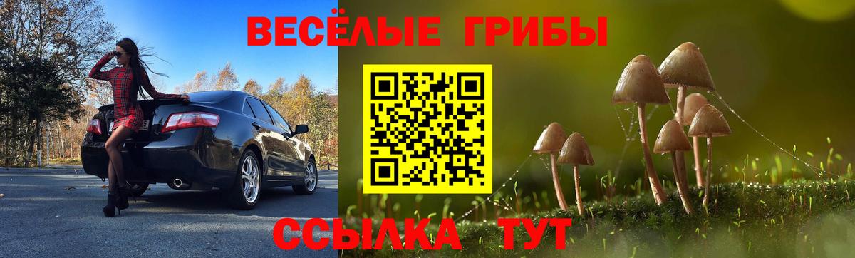 Кузнецк  Галлюциногенные грибы мухоморы  где можно купить наркотик  Вход с VPN 